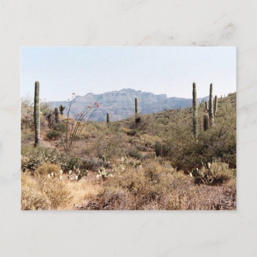 Sonoran Desert Arizona Briefkaart (Voorkant)