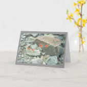 Sonoran Desert Blossoms Carte de voeux ou Carte de (Fleur jaune)