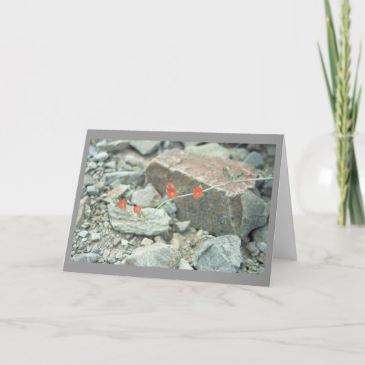 Sonoran Desert Blossoms Carte de voeux ou Carte de (Devant)