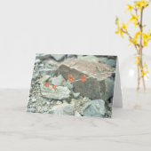 Sonoran Desert Blossoms Carte de voeux ou Carte de (Fleur jaune)