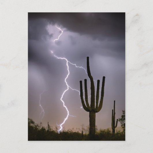Sonoran Desert Monsoon Storming Briefkaart (Voorkant)