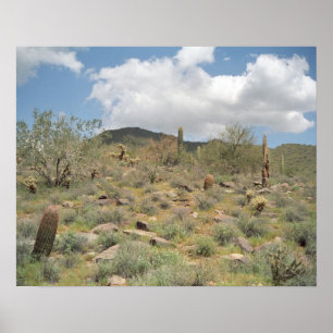 Sonoran Desert Pastoral Art Imprimer Photo Posters