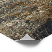 Sonoran Desert Scene 07 poster (Hoek)