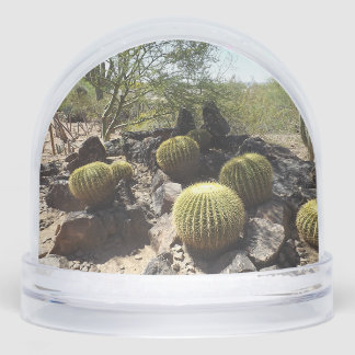 Sonoran Desert Snow Globe
