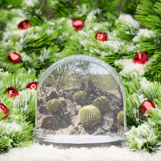 Sonoran Desert Snow Globe (Noël)