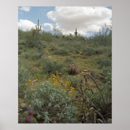Sonoran Desert Spring Symphony Poster Imprimantes (Devant)