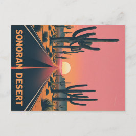  Sonoran Desert Sunset Cactus Highway Briefkaart