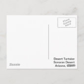 Sonoran Deset Tortoise Briefkaart (Achterkant)
