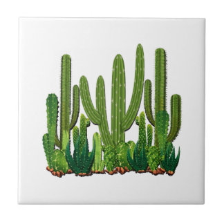 Sonoran Habitat Tegeltje
