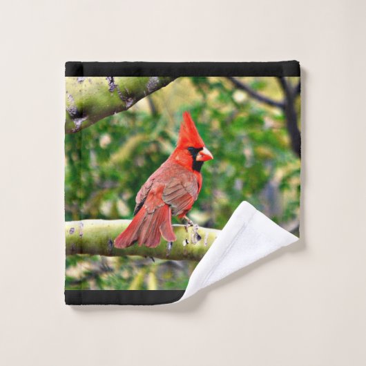 Sonoran-handdoekset Bad Handdoek (Wasdoekje)