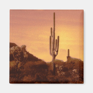 Sonoran sunset magnet magneet