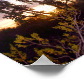Sonoran Sunset Poster (Hoek)