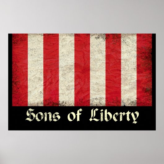 Sons of Liberty Flag Poster (Voorkant)