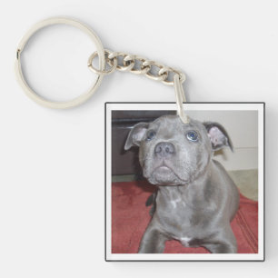 Sooky Blue Staffordshire Bull Terrier Puppy, Sleutelhanger