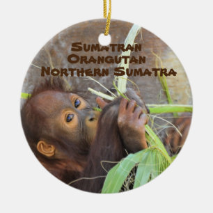 Soort bedreigde diersoorten Serie Sumatran Orangut Keramisch Ornament