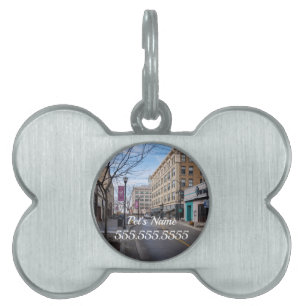 Soort ID-tag in het binnenland Springfield Huisdieren Naamplaatje