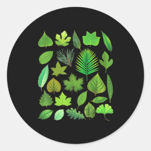 Soorten Boombladeren Biologie Natuur Educatief Ronde Sticker