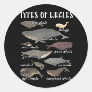 Soorten gids voor walvissen met zeezoogdieren ronde sticker