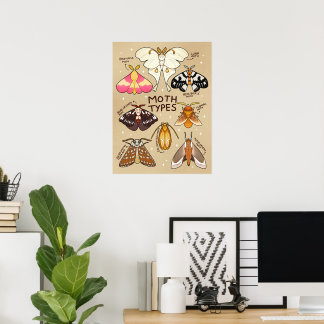 Soorten mot poster