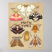 Soorten mot poster (Voorkant)