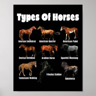 Soorten Paarden Retro Paarden Rassen Rassen Poster