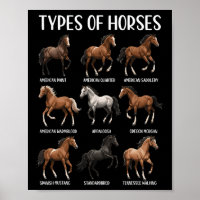 Soorten Paarden Shirt Funny Horse Breed Horseback