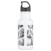 Soorten schedel waterfles  (Achterkant)