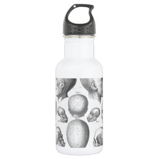 Soorten schedel waterfles 