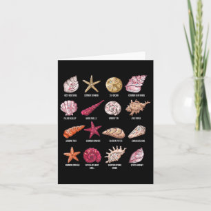 Soorten Seashells Beach Shelling Conch Zee Shell Kaart