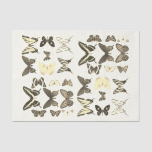 Soorten Vlinders Collectie Sepia Beige Tissuepapier