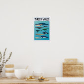 Soorten walvissen en zoogdiervariëteiten poster (Keuken)