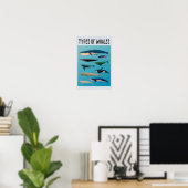 Soorten walvissen en zoogdiervariëteiten poster (Thuiskantoor)