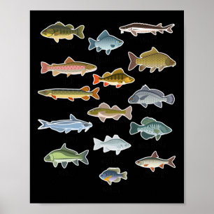 Soorten zoetwatervis Gevist Poster