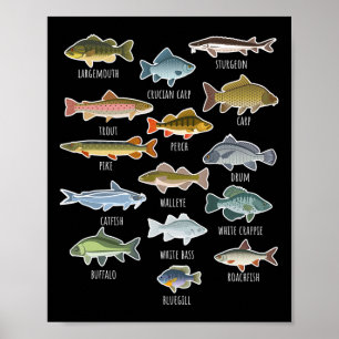 Soorten Zoetwatervis Soorten Vissen Poster