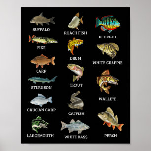 Soorten Zoetwatervis Soorten Vissen Vissen Visser Poster