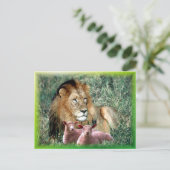 Soothes the Soul - Briefkaart (Staand voorkant)