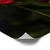 Soothing Reds Poster (Hoek)