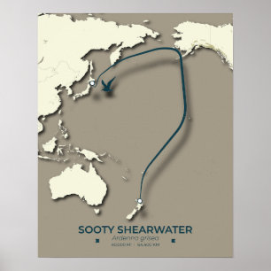 Sooty Shearwater Migration Map – Minimalistisch Poster