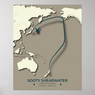 Sooty Shearwater Migration Map – Minimalistisch Poster