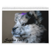 Sophia 2015 Custom Chow Calendar Kalender (Hoes)