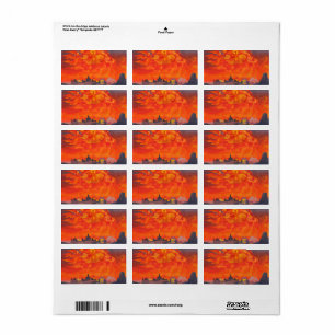 Sophia, het Wisdom van de Almachtige door Roerich Etiket