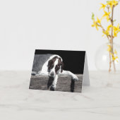 "Sophie" - Carte Pointeur Anglais (Fleur jaune)