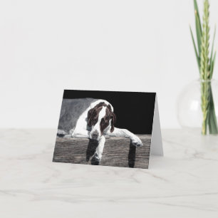 "Sophie" — Kaart Engelse aanwijzer