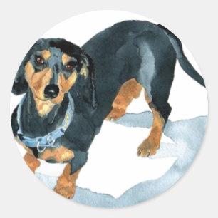 Sophie les Stickers Dachshund