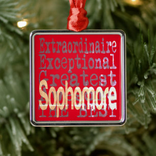 Sophomore Extraordinaire Metalen Ornament