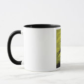Sorcière Sur Une Mug Broomstick (Gauche)