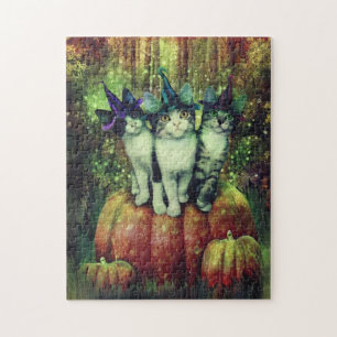 Sorcières dans le puzzle de déguisement