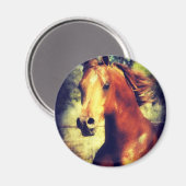 Sorrel Arabian Magneet (Voorkant / Achterkant)