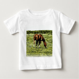 Sorrel Horse