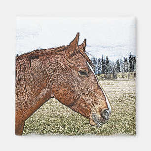 Sorrel Horse Portrait Equine Art Illustratie Magneet